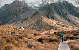 psy2_nik-shuliahin-359344-unsplash